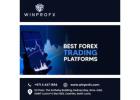 What Makes the Best Forex Trading Platform Stand Out