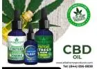 Discover Everyday Wellness with CBD Oil