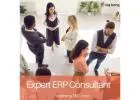 Expert ERP Consultant | Big Bang