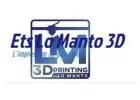 Wasp 3D Printer