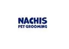 Door to Door Pet Grooming in Tampa | Nachis Pet Grooming