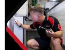 Pest Inspections Perth | Chambers Pest Solutions