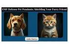 EMF Defense Pet Pendants: Shielding Your Furry Friend, The Ultimate Guide
