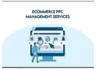 Ecommerce PPC Services