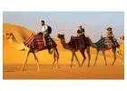 Rajasthan Vacation Packages – Discover the Royal Heart of India