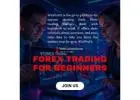 Best Forex Trading Strategies for Beginners to Learn in 2025