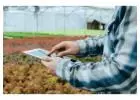 Nursery POS Software | SBI Point of Sale for Growing Retail