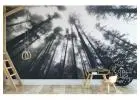 Is Jungle Wallpaper Good for Accent Walls?