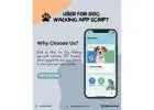 Uber for Dog Walking  App – Start Your Own  Pet Care Business
