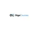 Perfect Guide with Alex Hormozi Course