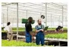 Find Best Nursery Business Software & Greenhouse ERP Here