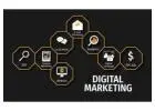 Grow Your Business With The Best Digital Marketing Agency In Delhi | Wall Communication