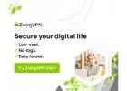 Bypass Restrictions: Fast VPN at the Best Price!