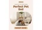 Premium Pet Comfort, Trusted by Pet Parents