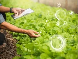 Inventory Management System for Commercial Plant Growers, Greenhouses & Nursery Inventory Management System for Commercial Plant Growers, Greenhouses & Nursery