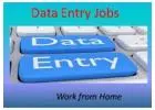Earn from Home: Form Typing Project | 7708244092