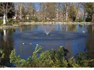 Pond Maintenance & Pond Supplies Pond Maintenance & Pond Supplies