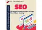 Rank Higher With Top SEO Services In Delhi | Wall Communication