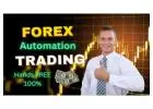 Create an Automated Income Stream Using Forex
