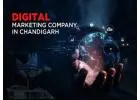 Digital Marketing Agency in Chandigarh​