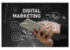 Digital Marketing Consultant in Chandigarh​