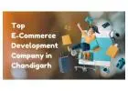 Ecommerce Development Company in Chandigarh