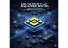 Binance Smart Chain Development Services Company