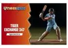 Tiger Exchange 247: TigerExch247 Features, Benefits & Security Guide