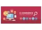Ecommerce Development Company in Faridabad
