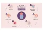 IVF Treatment Cost In Delhi - Dr Rhythm Gupta