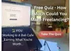 Free Assessment: How Much Could You Earn Freelancing? (Find Out in 4 Minutes)