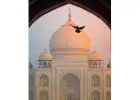 Taj Mahal Tour Packages From Delhi