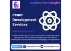 Best React Development Company | eLeoRex Technologies