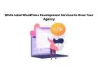 White Label WordPress Development Services to Grow Your Agency
