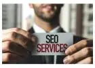 Expert Professional SEO Services in India
