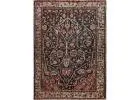 Shop Carpets and Rugs Online