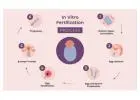 IVF Treatment Cost In Delhi - Dr Rhythm Gupta