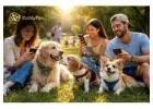 How Pet Communities Help Pets Make Friends Safely