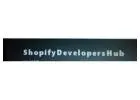 shopify development services delhi | shopify website developer in delhi