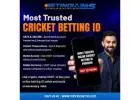 TopCricketID Brings You the Ultimate Cricket ID Experience