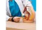 Top Proctologist in Florida for Expert Colon & Rectal Care