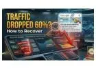 My Website Traffic Dropped 60% Overnight ,  Here's the Exact Reason It Happens and How to Recove
