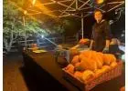 Outdoor catering York hog roast