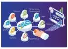 Professional SEO Services in Delhi NCR - DigitalBerge