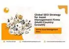 Global SEO Strategy for Asset Management Firms (Multi-Country Growth)