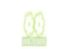 Fresh Flower Delivery Bundoora for Every Occasion