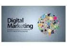 SEO Service Provider India