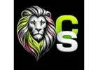 Best Forex Trade Platform