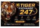 Consider these factors when deciding whether to use TigerExch247