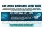 Turn Expired Domains Into Digital Assets -CA